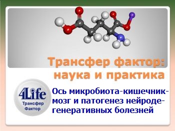 Доклад Мальцева Д.В. (к.м.н., доцент, зав.лабораторией иммунологии и молекулярной биологии - Институт экспериментальной и клинической медицины НМУ) "Ось: микробиота-кишечник-мозг и патогенез нейродегенеративных болезней". Доклад Мальцева Д.В. (к.м.н., доцент, зав.лабораторией иммунологии и молекулярной биологии - Институт экспериментальной и клинической медицины НМУ) "Ось: микробиота-кишечник-мозг и патогенез нейродегенеративных болезней".