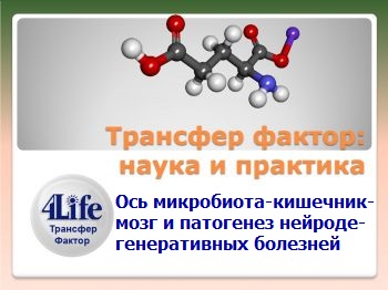 Доклад Мальцева Д.В. (к.м.н., доцент, зав.лабораторией иммунологии и молекулярной биологии - Институт экспериментальной и клинической медицины НМУ) "Ось: микробиота-кишечник-мозг и патогенез нейродегенеративных болезней".